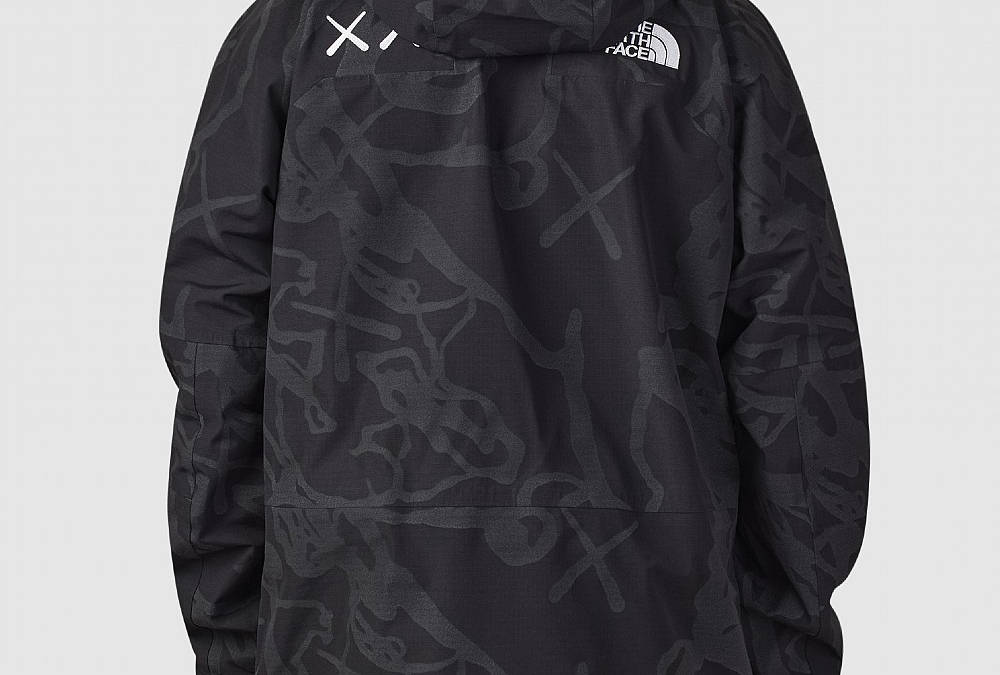 the north face freeride jacket