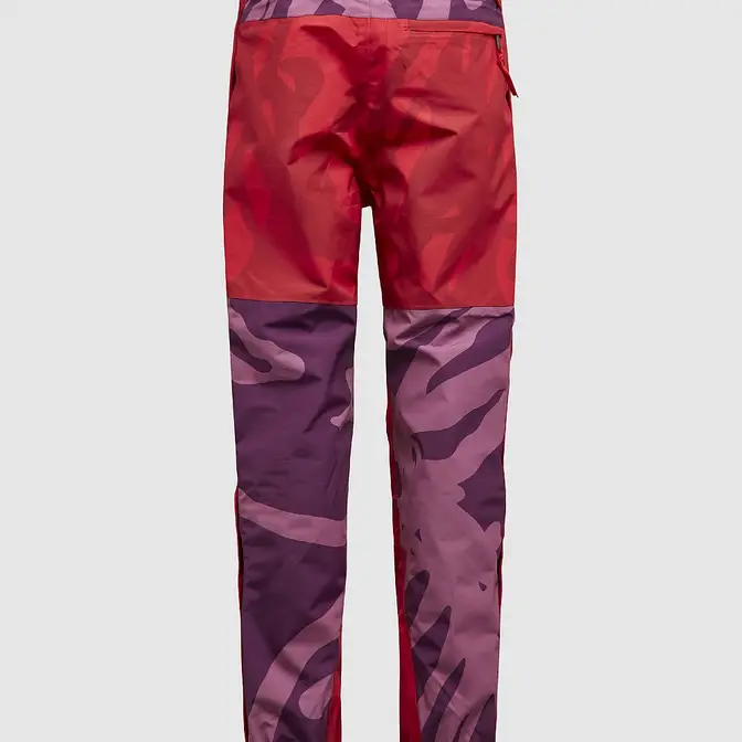 The North Face X KAWS X Project X Mountain Light Pant | Where To