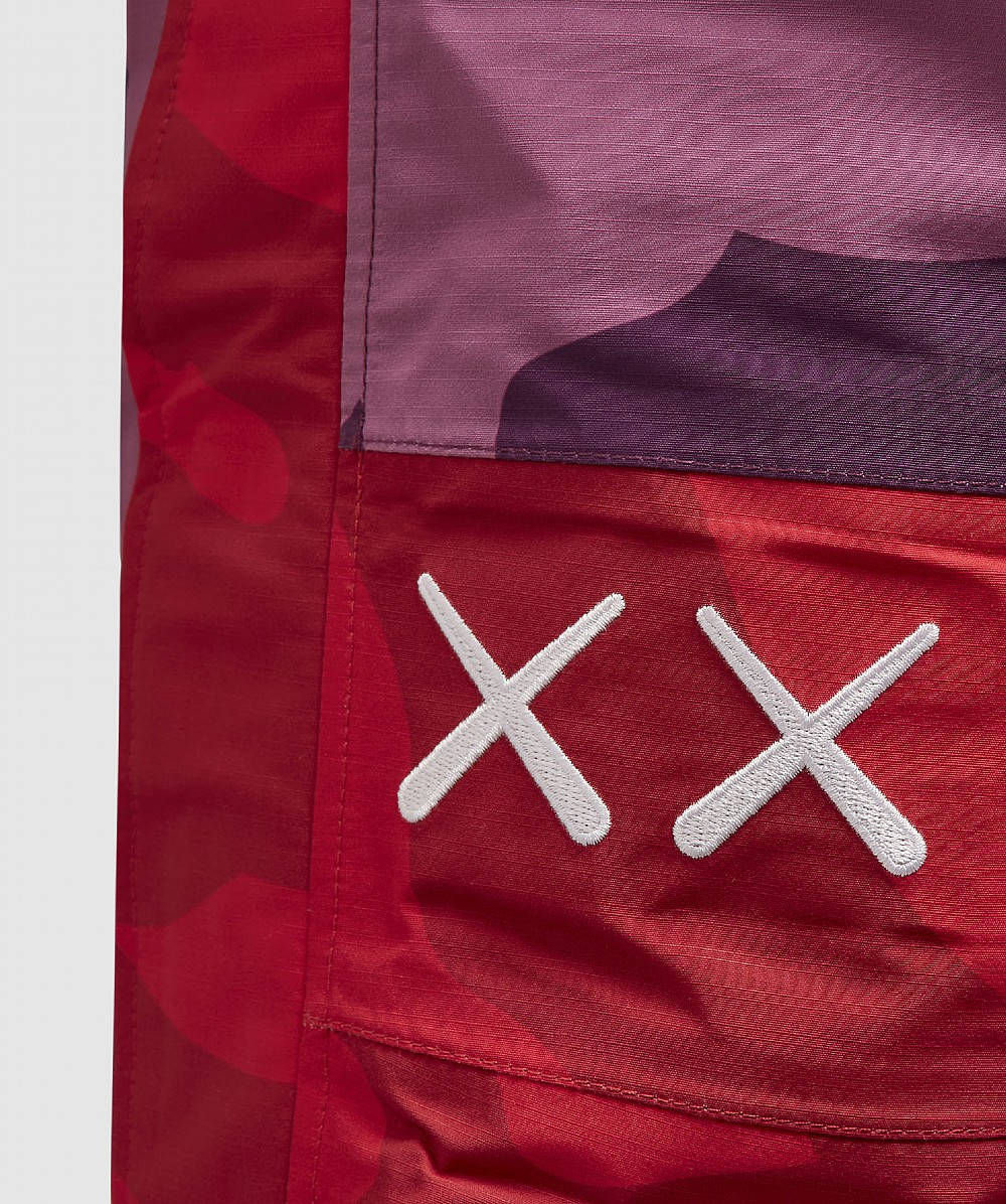 The North Face X KAWS X Project X Mountain Light Pant | Where To