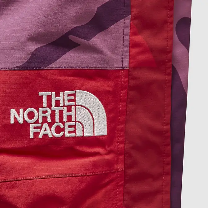 The North Face X KAWS X Project X Mountain Light Pant