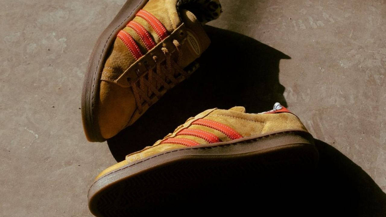 xlarge x adidas campus 3