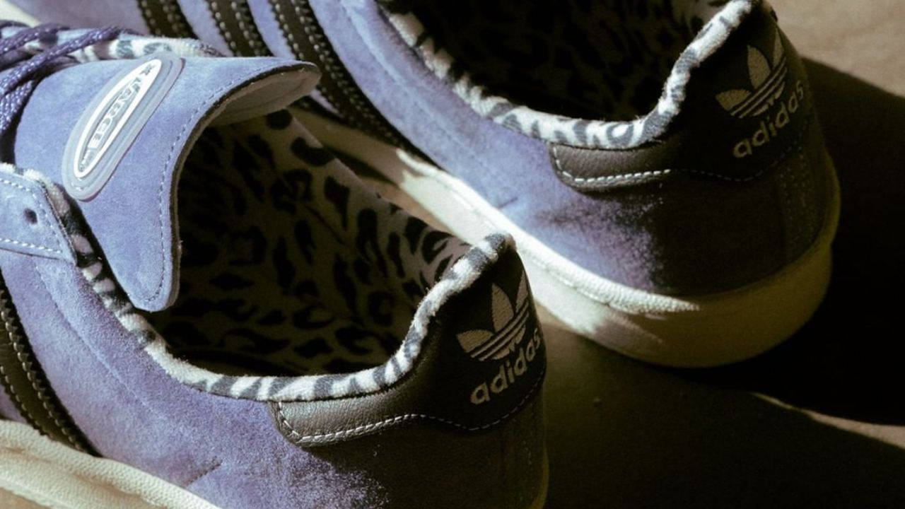 xlarge x adidas campus 4