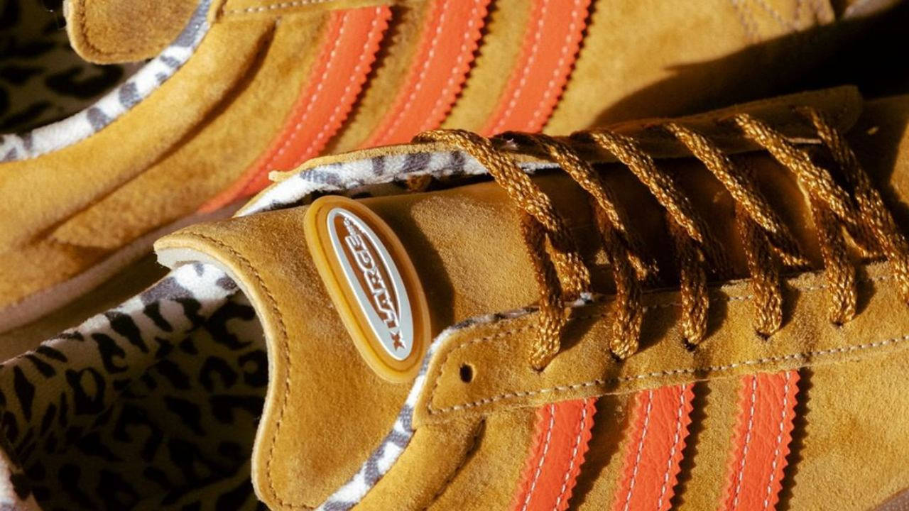 xlarge x adidas campus 5