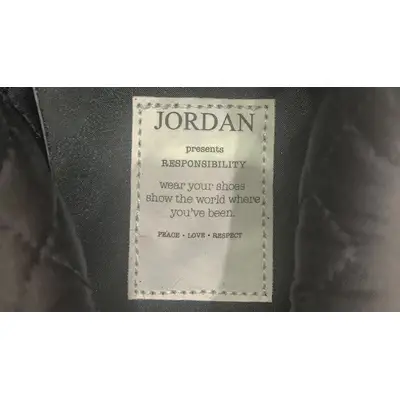 Air Jordan 2 Low Responsibility Detail