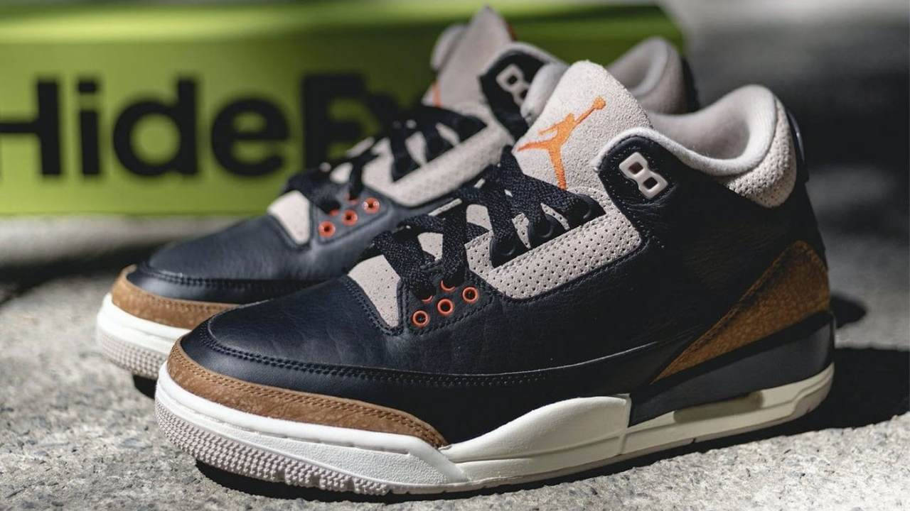 aj3 desert elephant 1