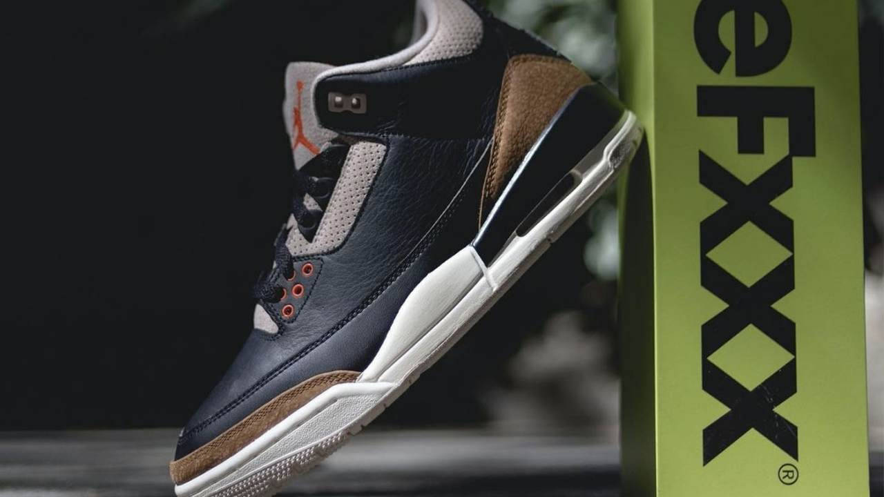 aj3 desert elephant 2