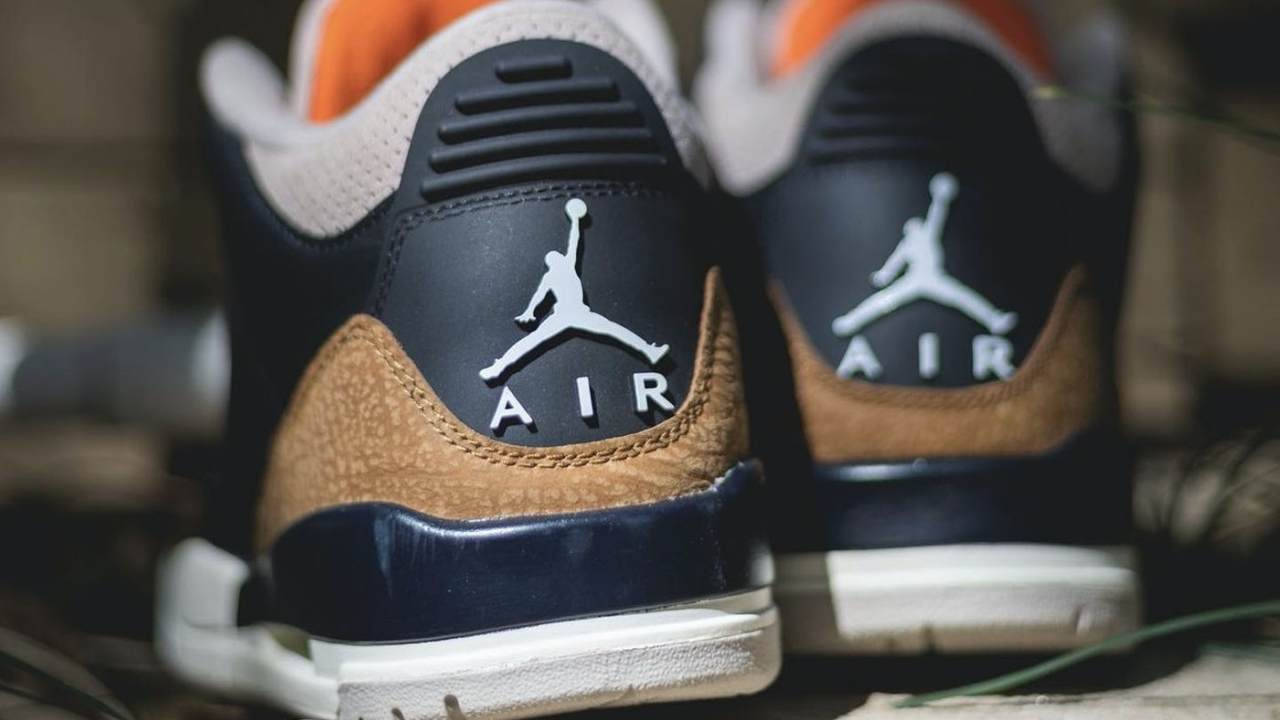 aj3 desert elephant 4