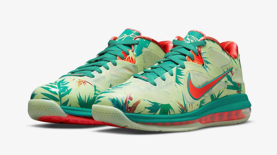 Nike LeBron 9 LeBronald Palmer Front