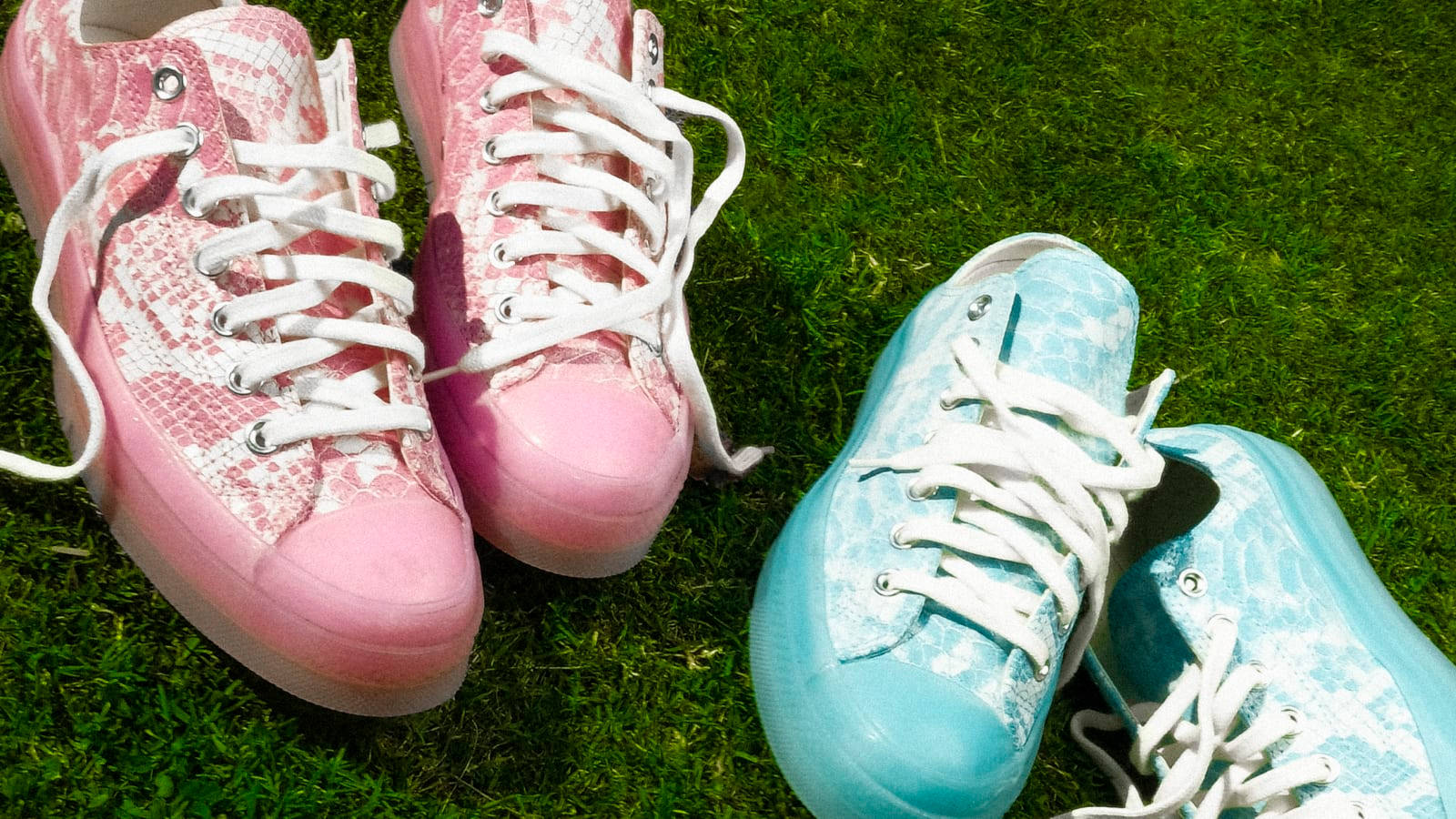 Tyler The Creator x Converse Chuck 70 Low Python