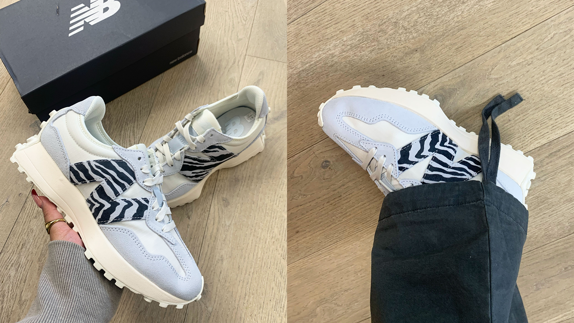 Zebra HOTW