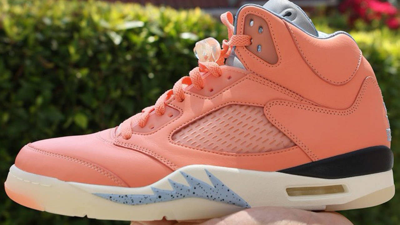 Air Jordan 5 We The Best 6