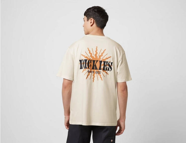 Dickies Kelso T-Shirt Brown Back