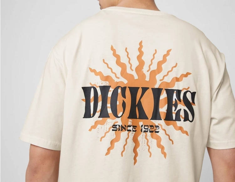 Dickies Kelso T-Shirt Brown Detail