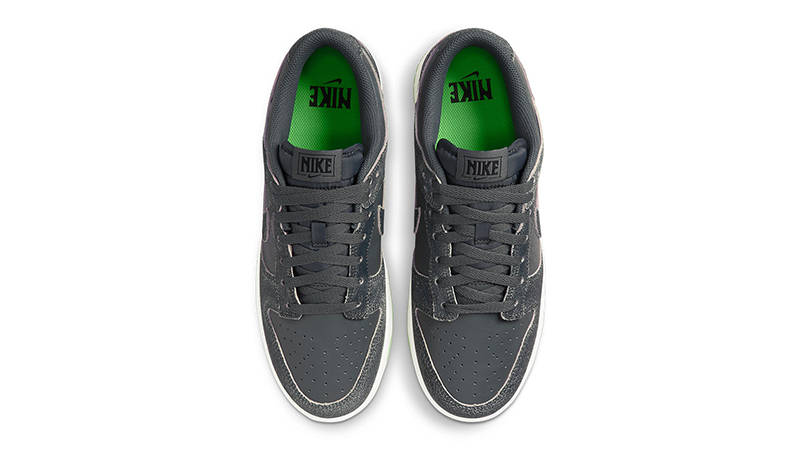 Nike Dunk Low Iron Grey DQ7681-001 Top
