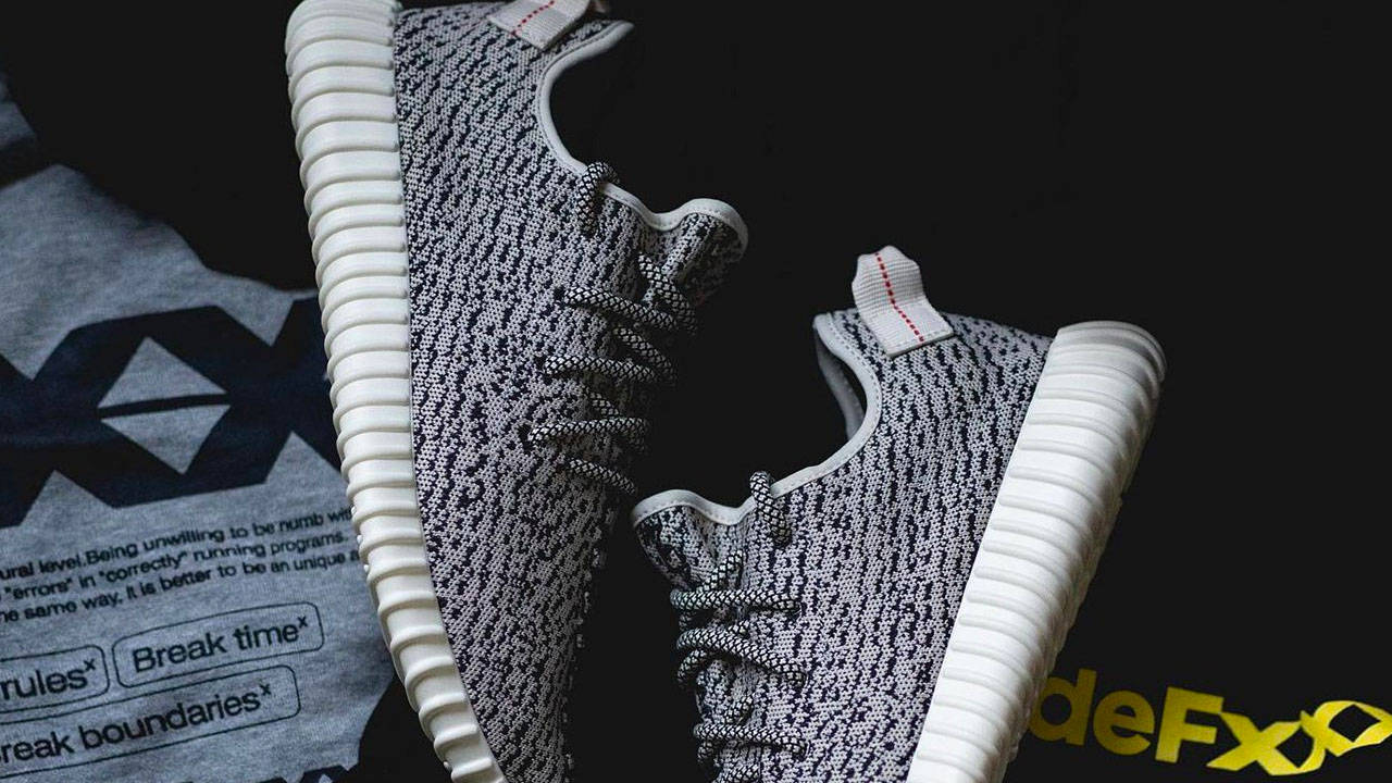Yeezy Boost 350 "Turtle Dove"