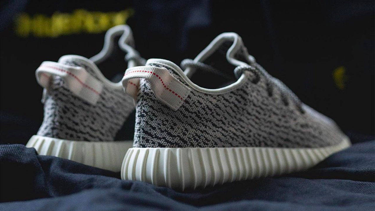 Yeezy Boost 350 "Turtle Dove"