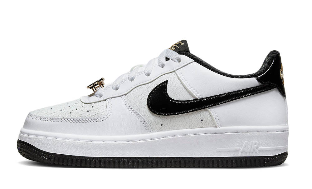 Nike Air Force 1 Low GS World Champ