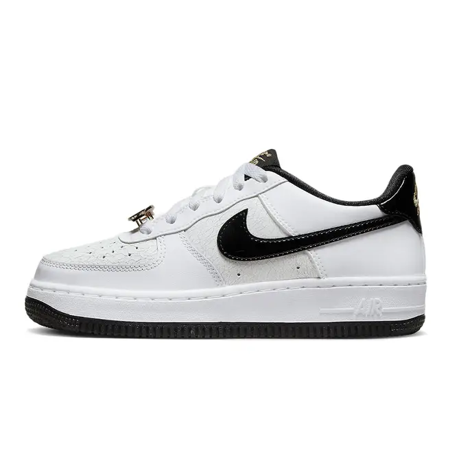 Nike Air Force 1 GS World Champs DQ0300-100