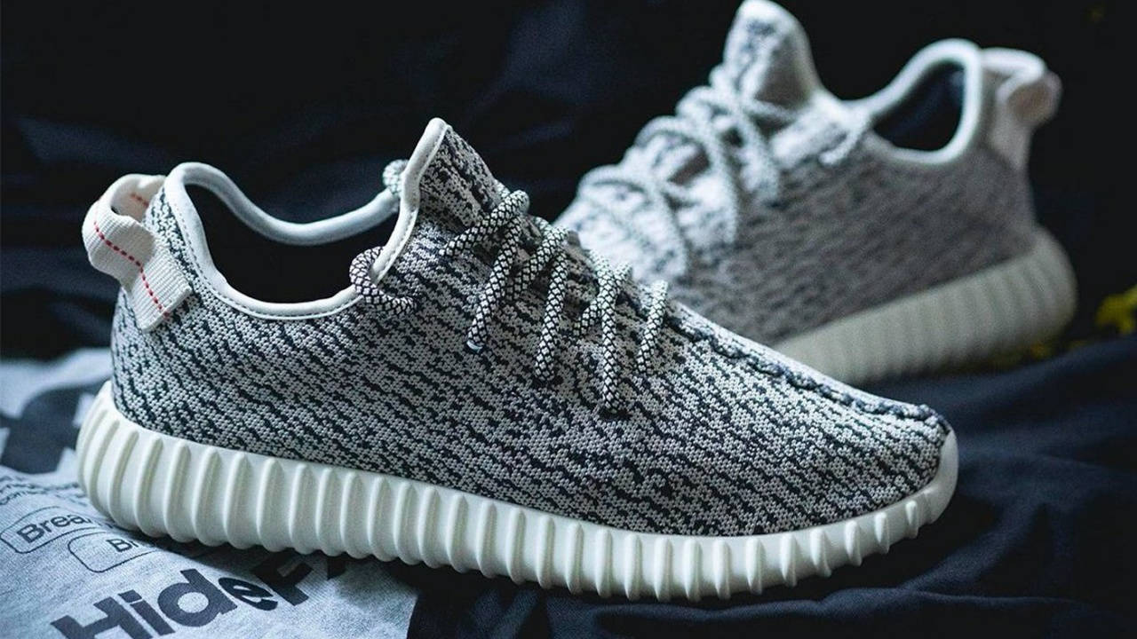 Yeezy Boost 350 Turtle Dove