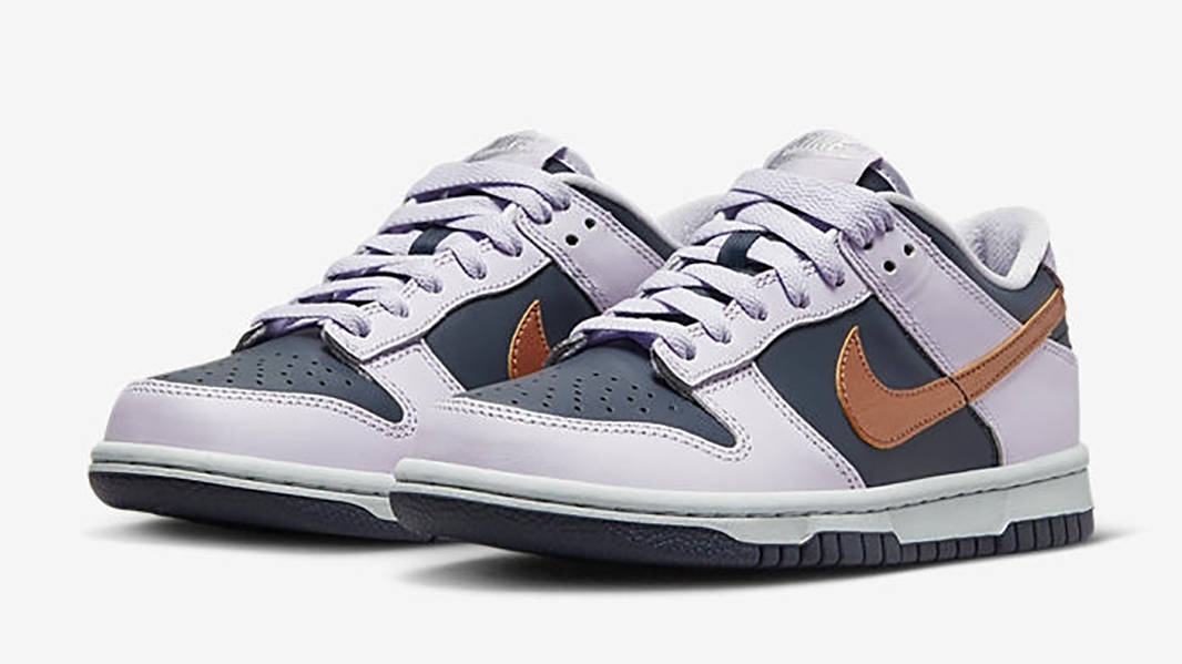 Nike Dunk Low GS Navy Copper DX1663-400 Side