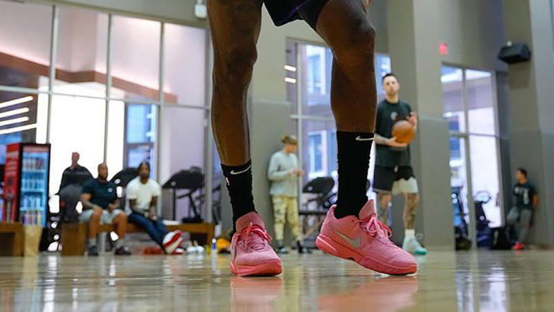 Nike LeBron 20 XX Pink on feet