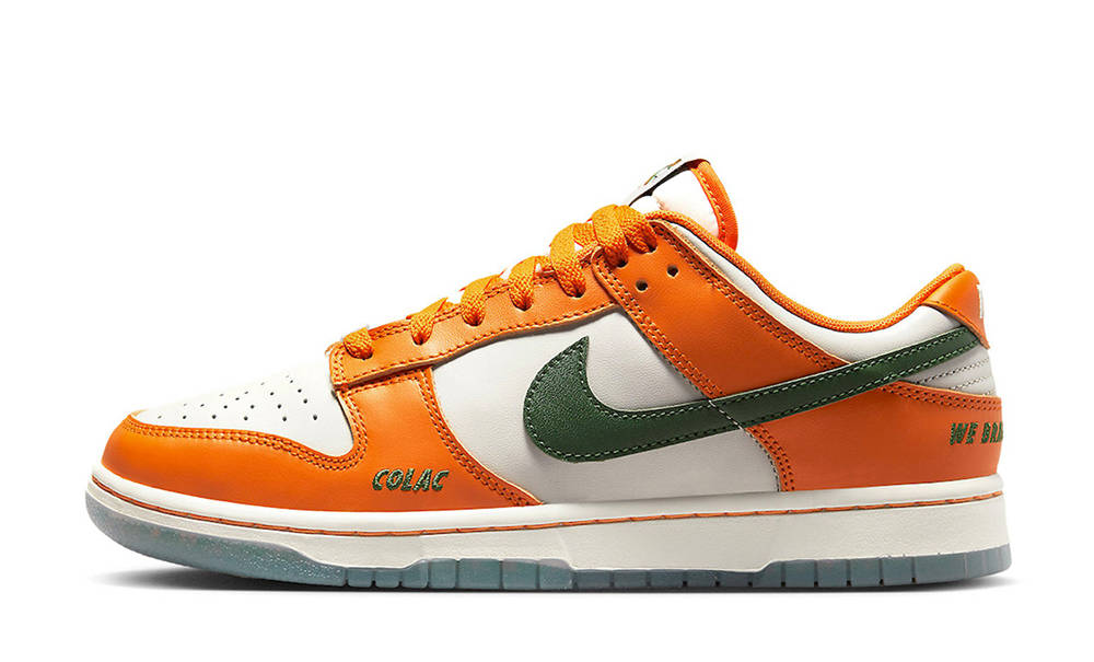 Florida A&M x Nike Dunk Low Family