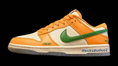 Florida A&M x Nike Dunk Low Family