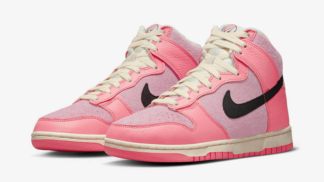 Nike zoom dunk hoop best sale