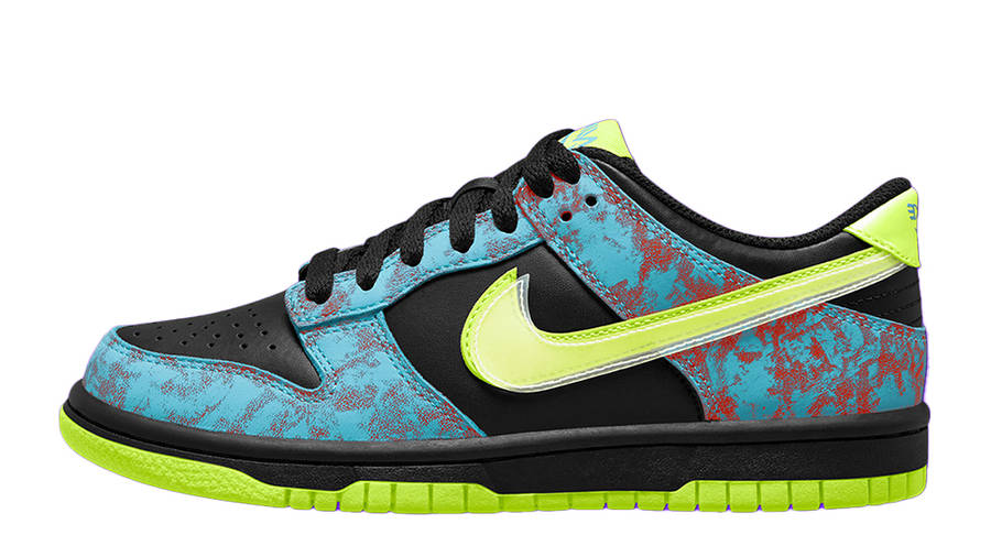 dunk low acid wash