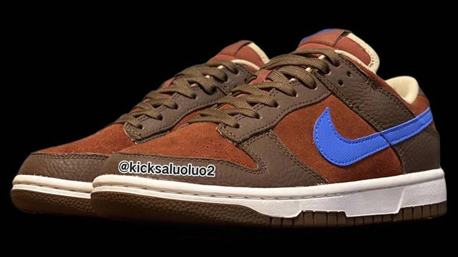 Nike Dunk Low Brown Blue Front
