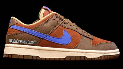 Nike Dunk Low Brown Blue Side