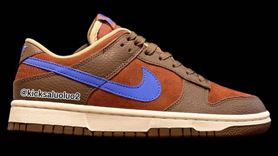 Nike Dunk Low Brown Blue Side
