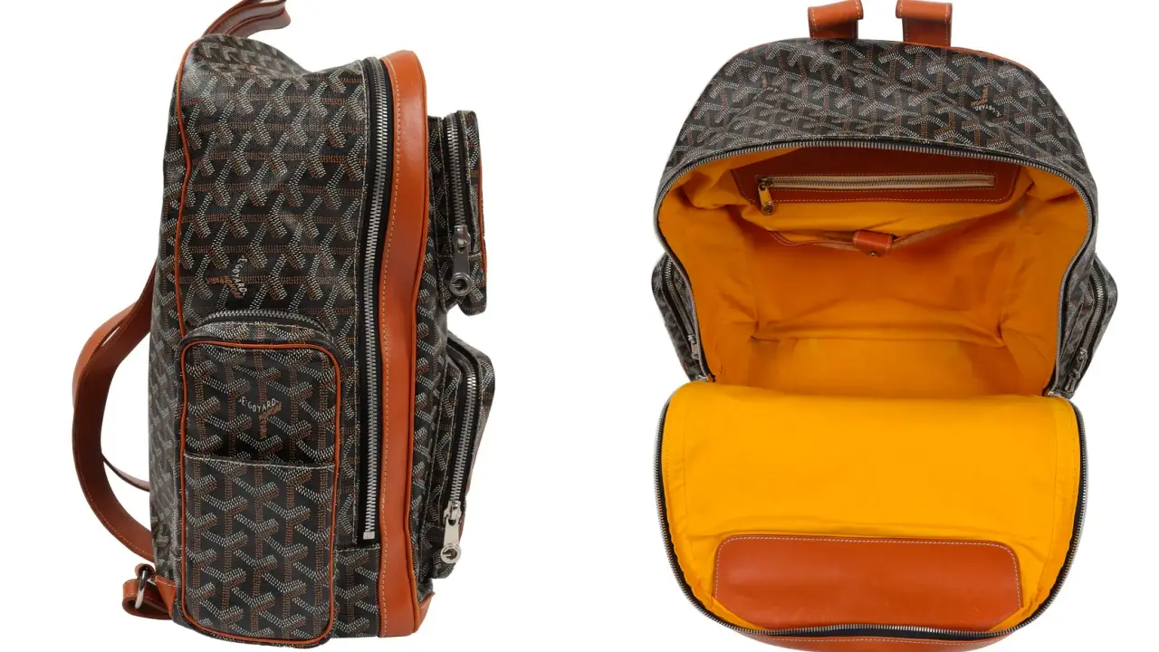 Someone paid $100,000 in cryptocurrency for this Goyard backpack
