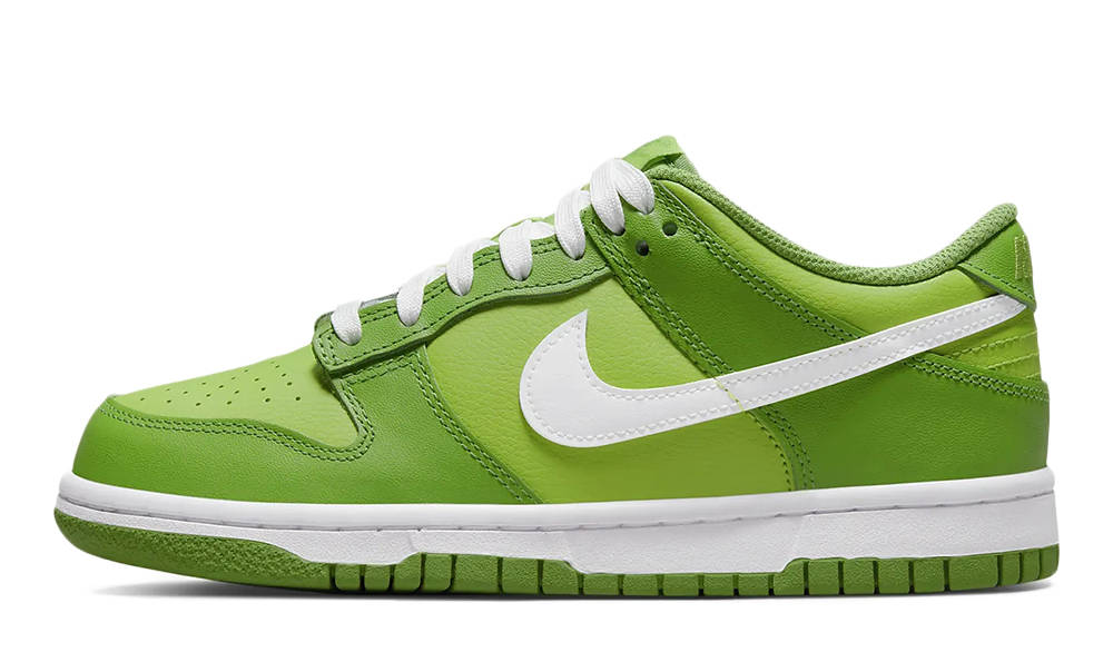 Nike Dunk Low GS Chlorophyll Green DH9765-301