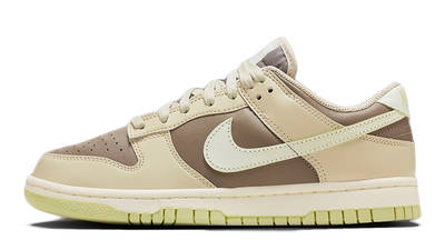 nike dunk low with velcro strap