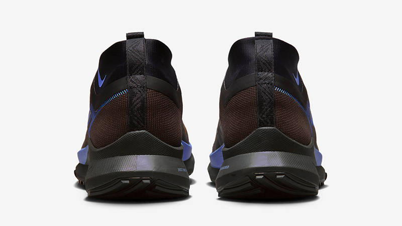 Nike Pegasus Trail 4 Gore-Tex Brown Blue FB2193-200 Back