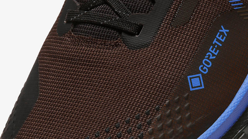Nike Pegasus Trail 4 Gore-Tex Brown Blue FB2193-200 Detail