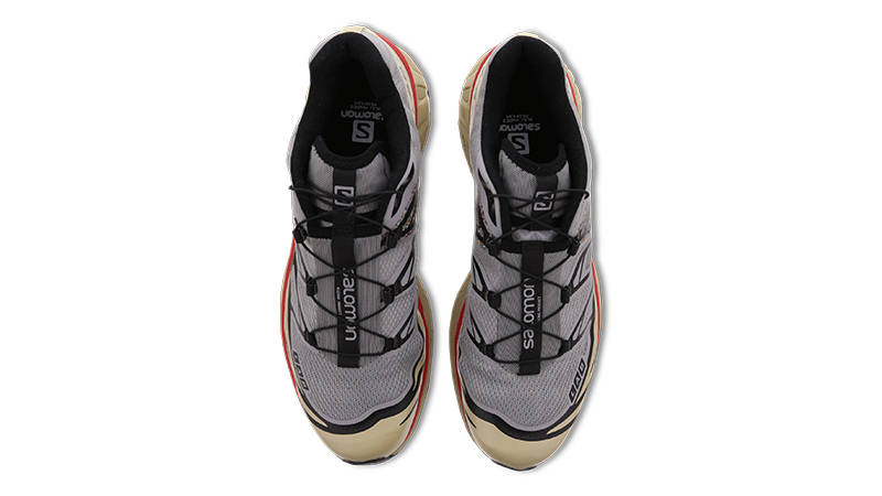 Salomon XT-6 Alloy Safari Goji Berry L41708600 Top