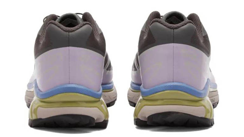 Salomon XT-6 Magnet Winter Pear BACK