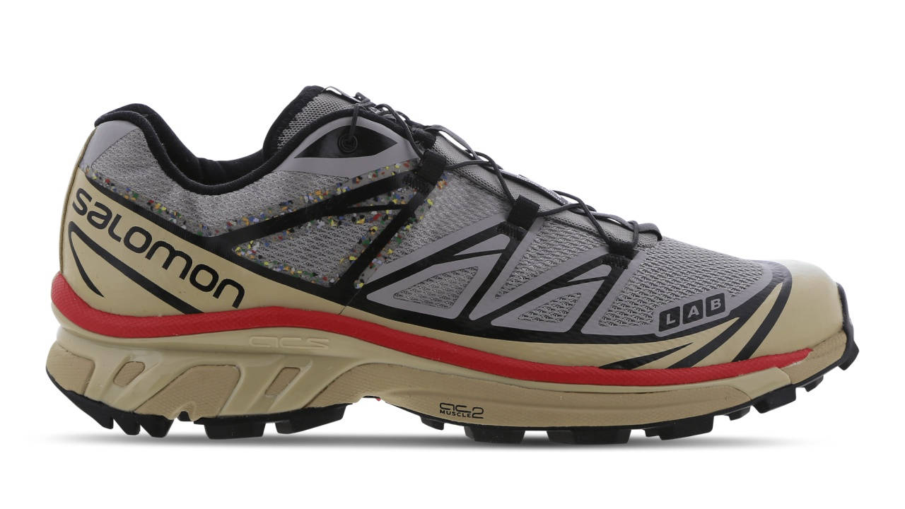 Salomon XT6