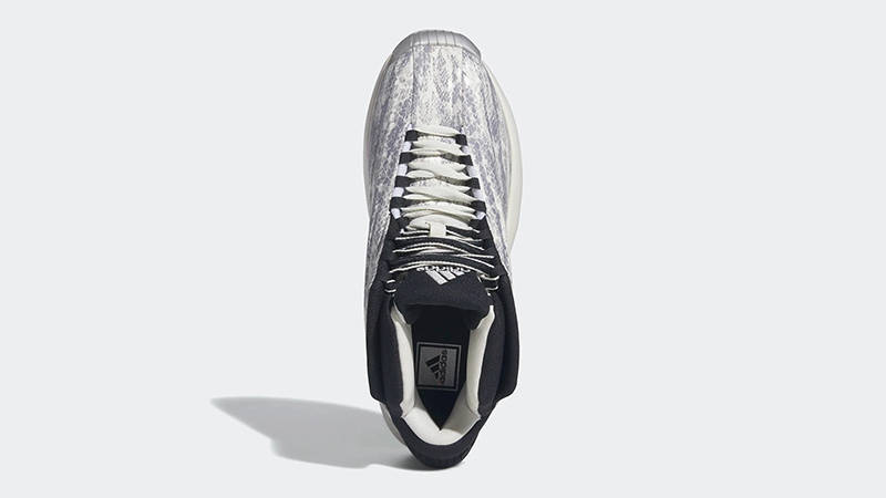 adidas Crazy 1 Snakeskin GY2405 Top