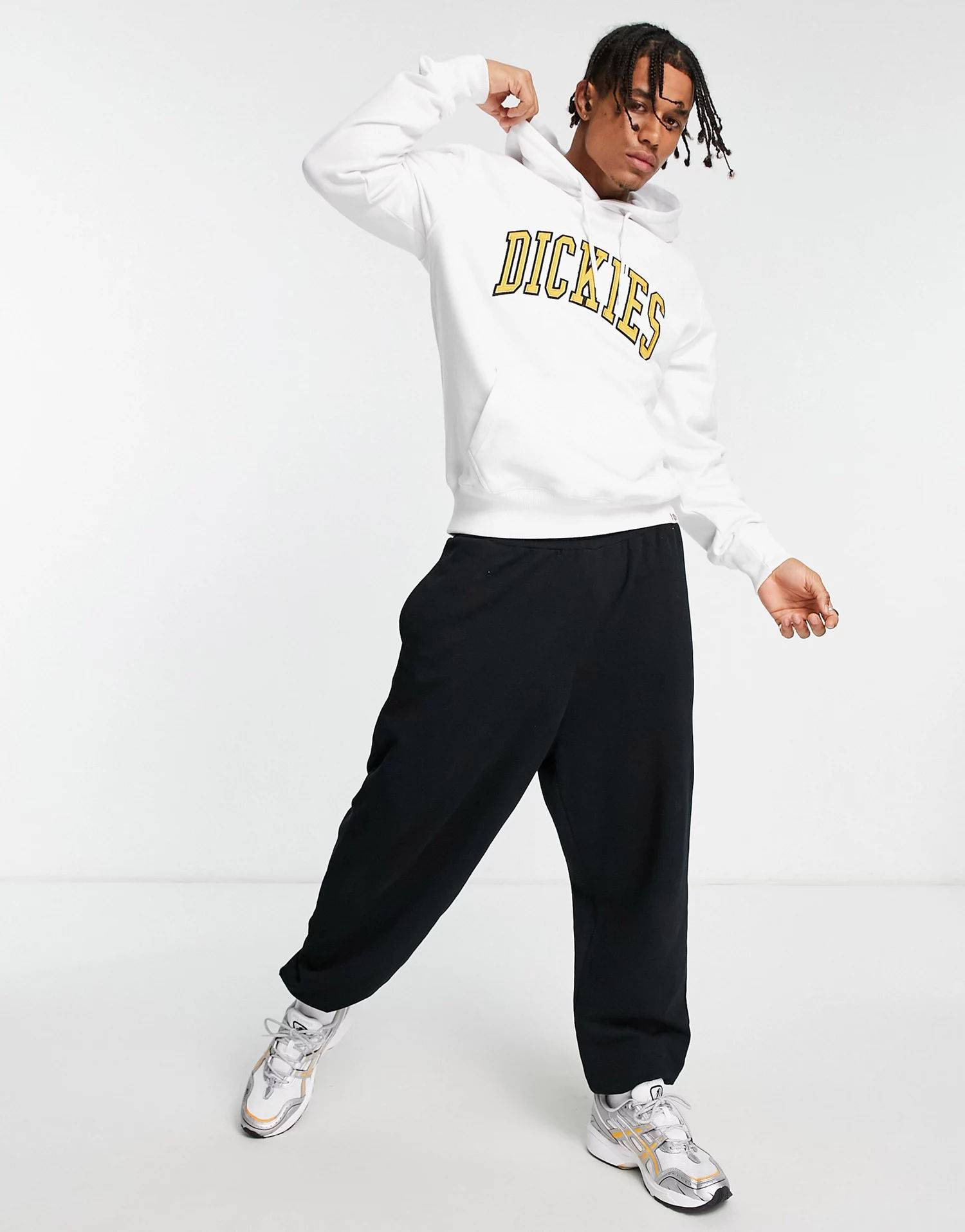 Dickies Aitkin Hoodie White Full Image