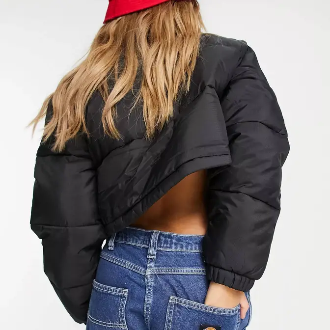 Dickies Alatna Cropped Puffer Jacket Black Backside