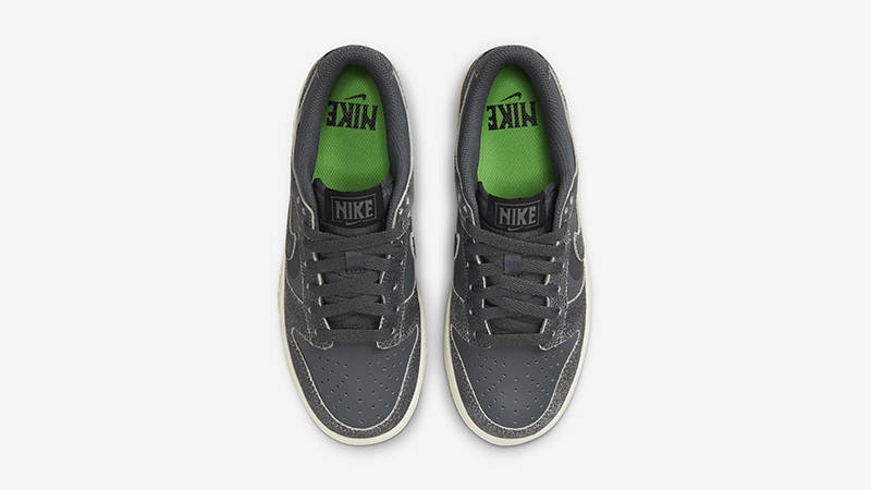 Nike Dunk Low GS Iron Grey Green DQ6215-001 Top
