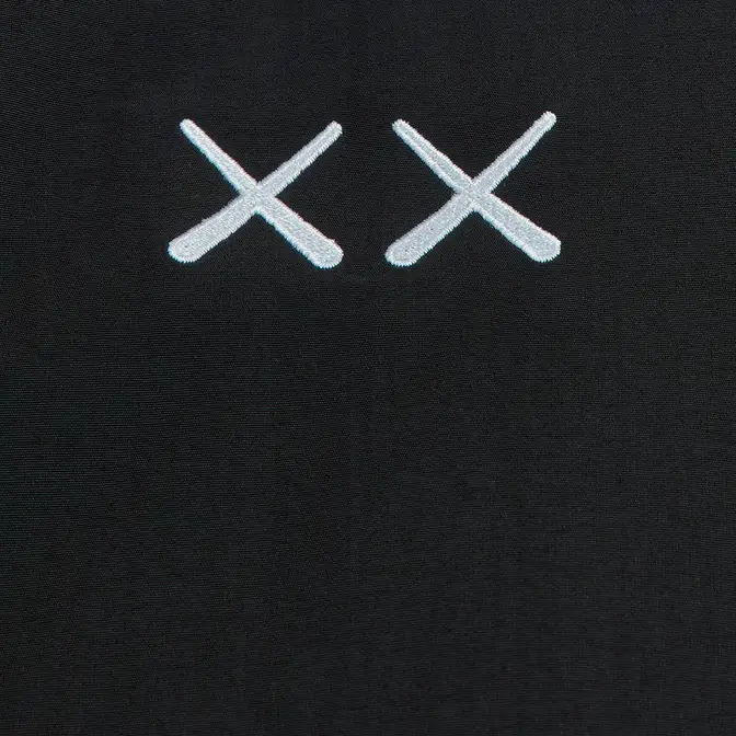 The North Face x KAWS XX Retro 1995 Denali Jacket | Where To Buy