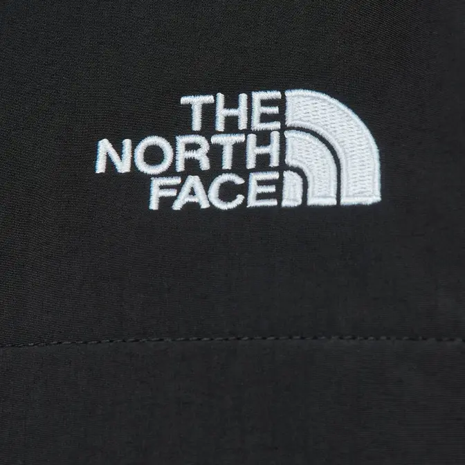 The North Face x KAWS XX Retro 1995 Denali Jacket | Where To Buy 