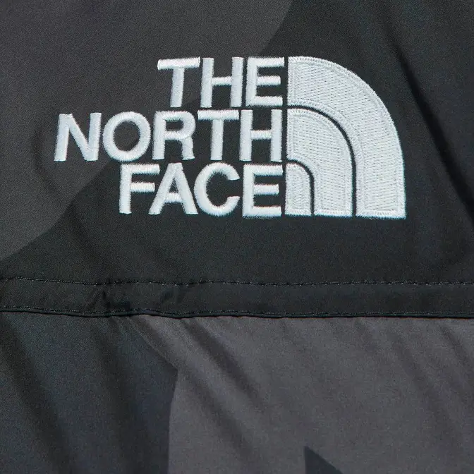 The North Face x KAWS XX Retro 1996 Nuptse Jacket | Where To Buy ...