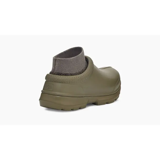 olive tasman ugg