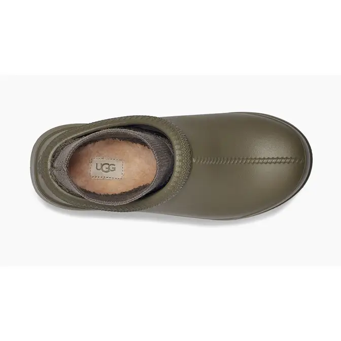 olive tasman ugg