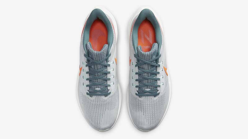 Nike air zoom outlet pegasus 21